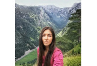 Отзывы